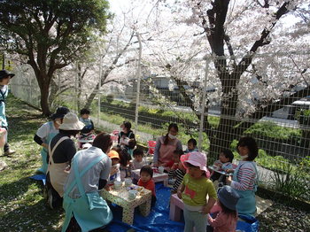 290413 お花見(45).JPG